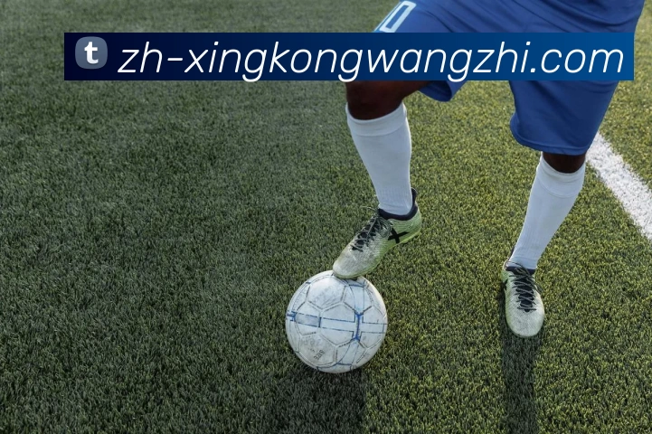 星空体育网址平台生态图