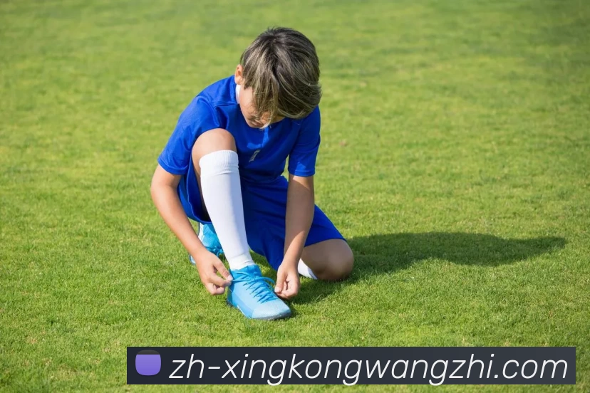 登录器